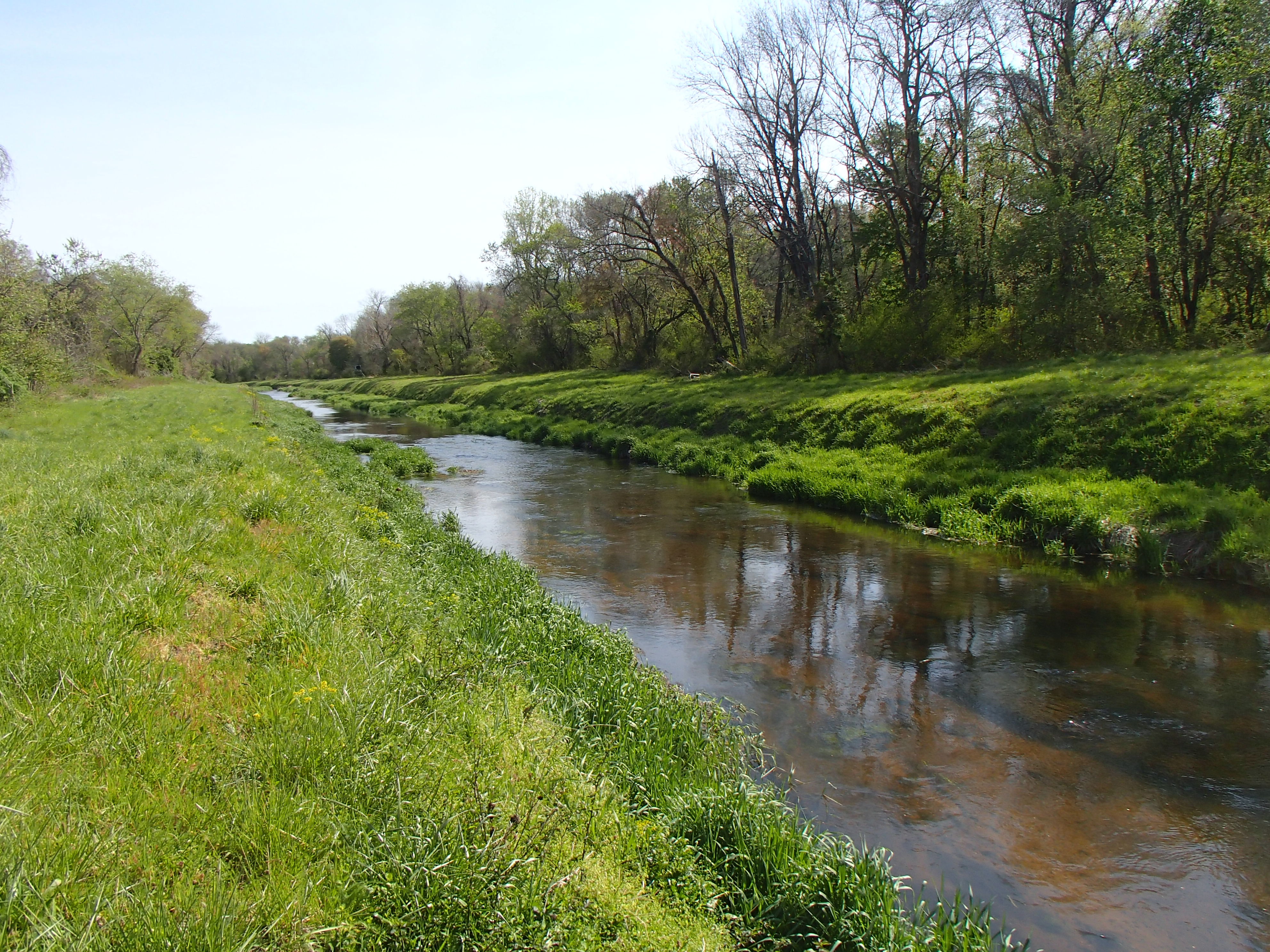 Field photo showing stream conditions at site TUCK-309-R-2016_midpoint looking upstream